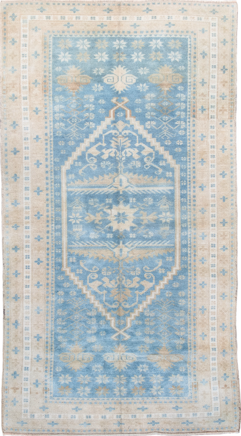 Antique Anatol Runner Rug (3' x 6')